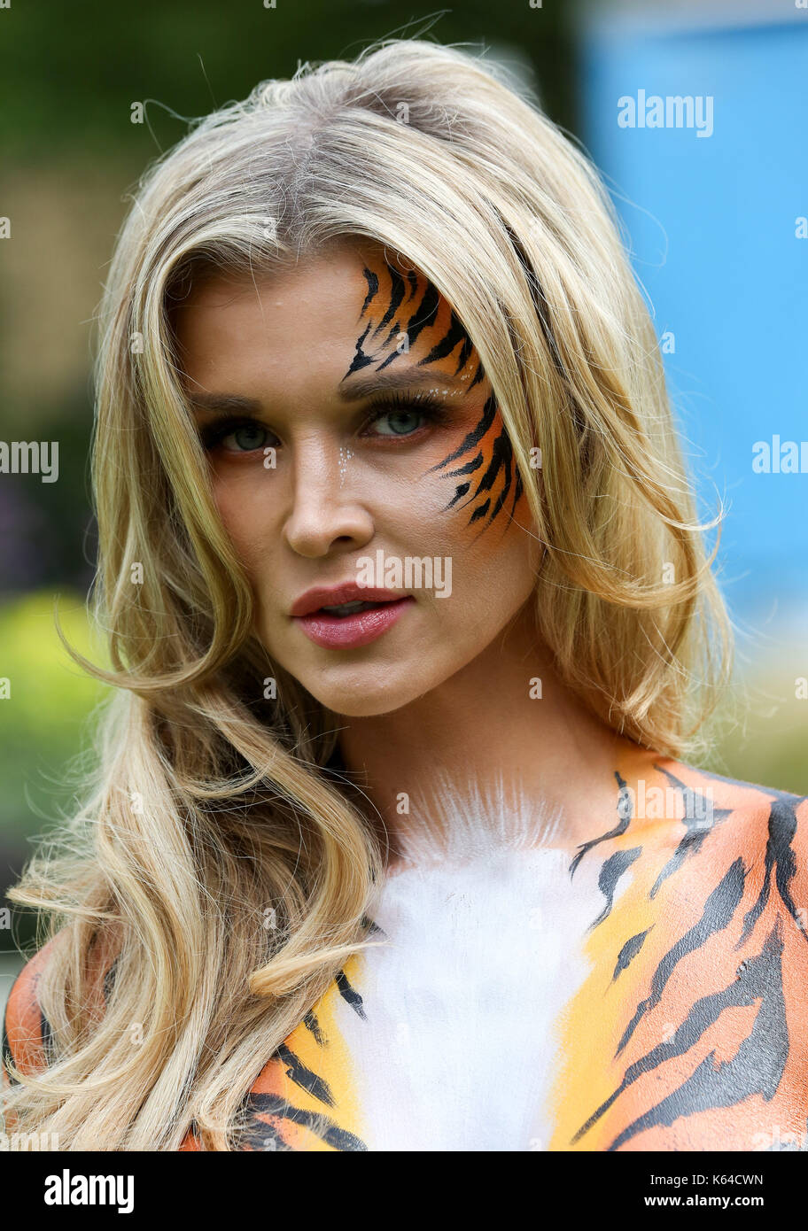Body painted as a tiger hi-res stock photography and images - Alamy