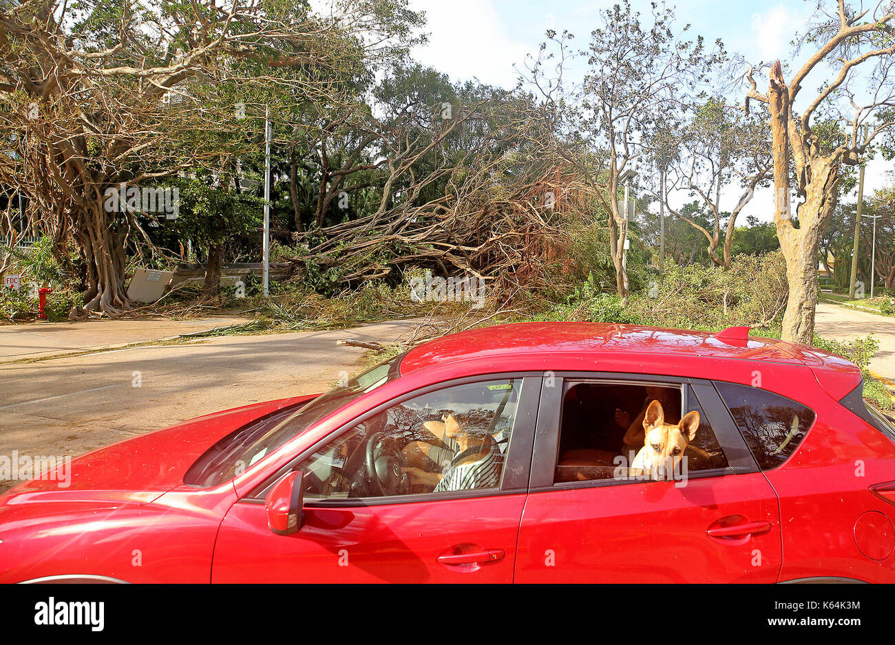 Miami, FL, USA. 11th Sep, 2017. People drive down Brickell Avenue in Miami and take photos after Hurricane Irma. Mike Stocker, South Florida Sun-Sentinel Credit: Sun-Sentinel/ZUMA Wire/Alamy Live News Stock Photo