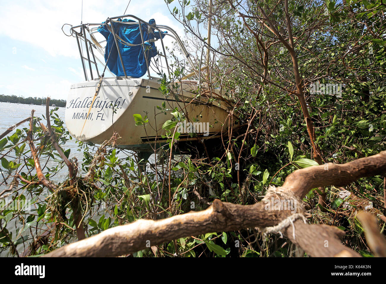 Miami, FL, USA. 11th Sep, 2017. The sailboat Hallelujah came to rest in the mangroves off of Dinner Key in Miami after Hurricane Irma. Mike Stocker, South Florida Sun-Sentinel Credit: Sun-Sentinel/ZUMA Wire/Alamy Live News Stock Photo