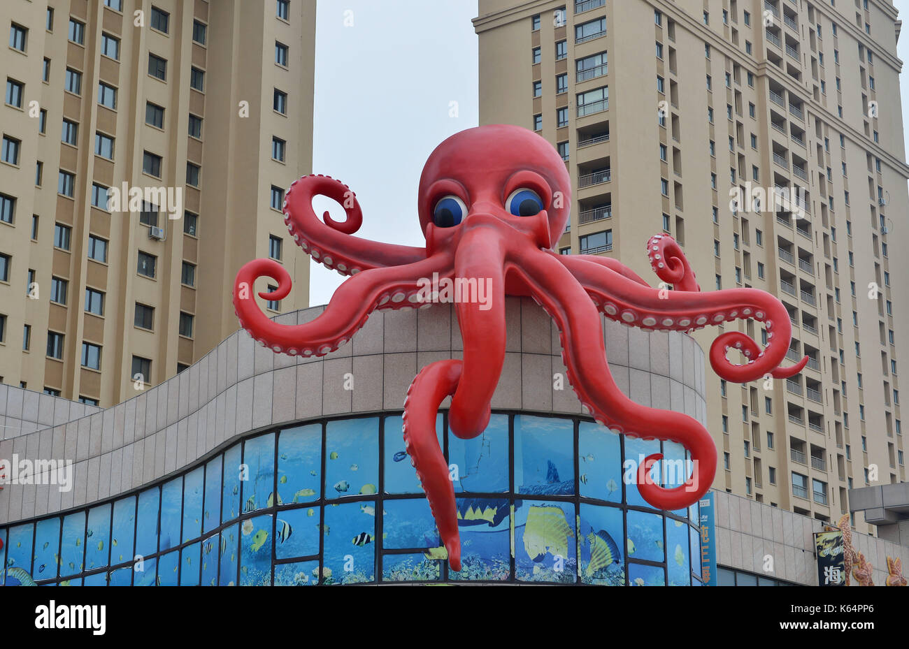 Shenyang, Shenyang, China. 12th Sep, 2017. Shenyang, CHINA-12th September 2017: (EDITORIAL USE ONLY. CHINA OUT).A giant sculpture of octopus can be seen on the top of a seafood restaurant in Shenyang, northeast China's Liaoning Province. Credit: SIPA Asia/ZUMA Wire/Alamy Live News Stock Photo