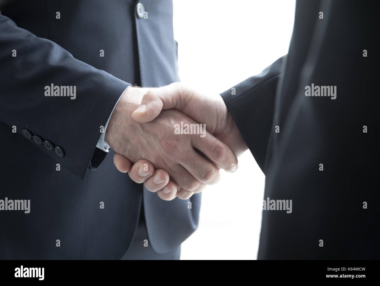 Two businessmen shaking hands standing by windows in office Stock Photo