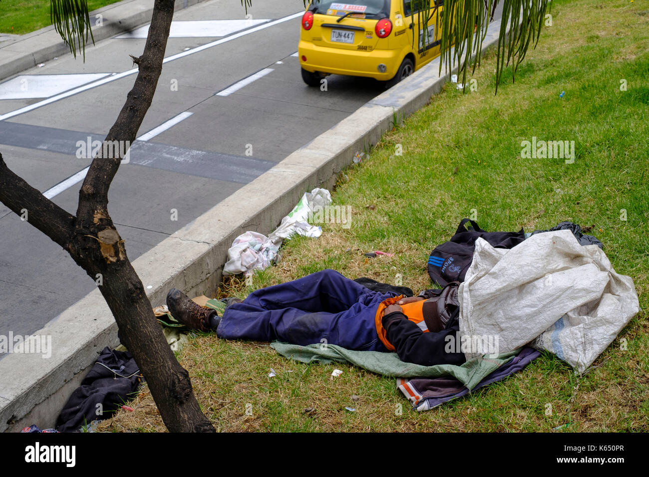 Colombia: Bogota. Homeless person sleeping on a lawn in the city centre, along a boulevard Stock Photo