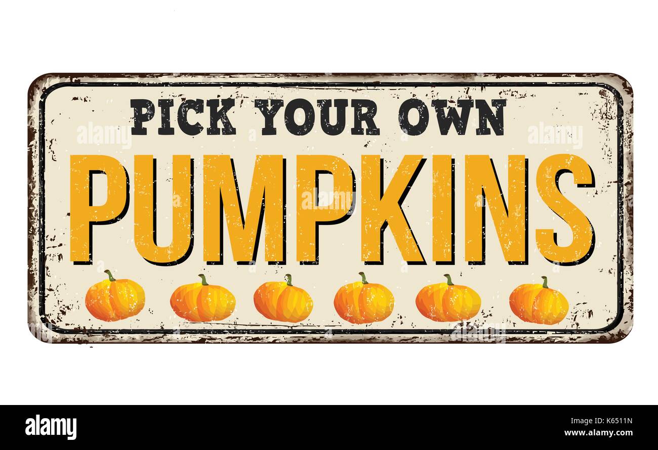Pumpkins vintage rusty metal sign on a white background, vector ...