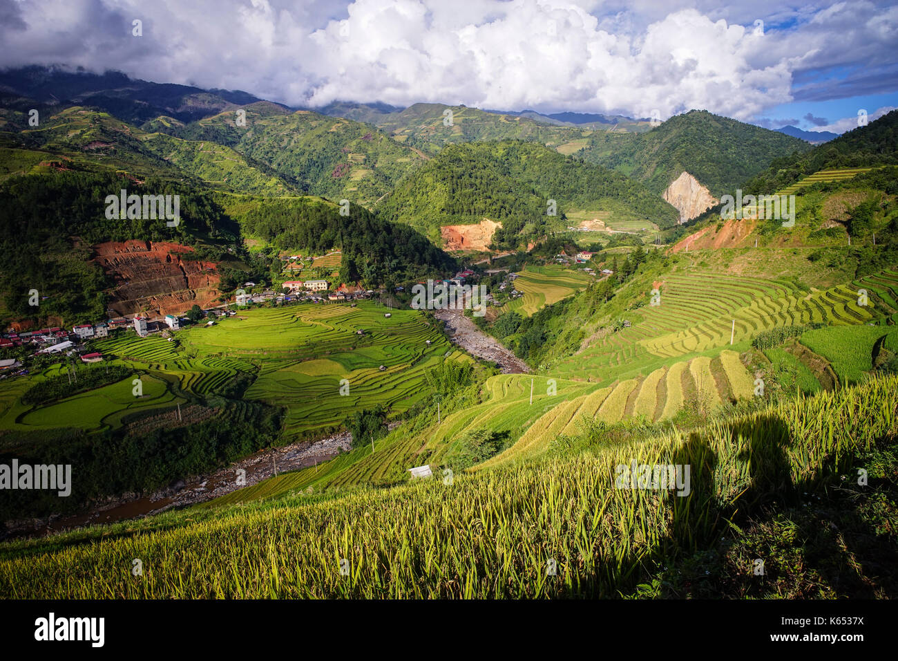 Terraced rice field in Sapa, Vietnam. Sapa is a beautiful, mountainous ...