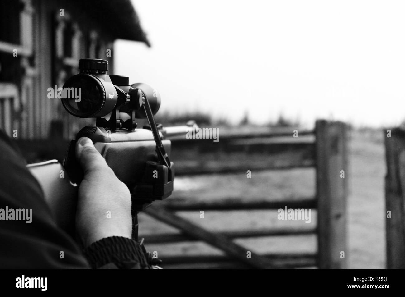 Airgun / air rifle shot on a mountain hut Stock Photo