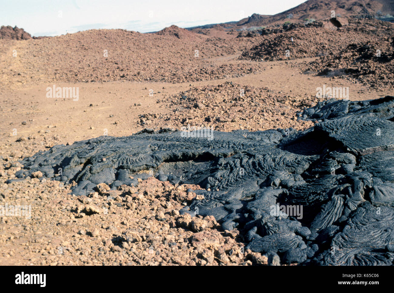 Pahoehoe Lava, Bartolome  Island, Galapagos Islands, basaltic, ropy surface, showing flow on ground Stock Photo