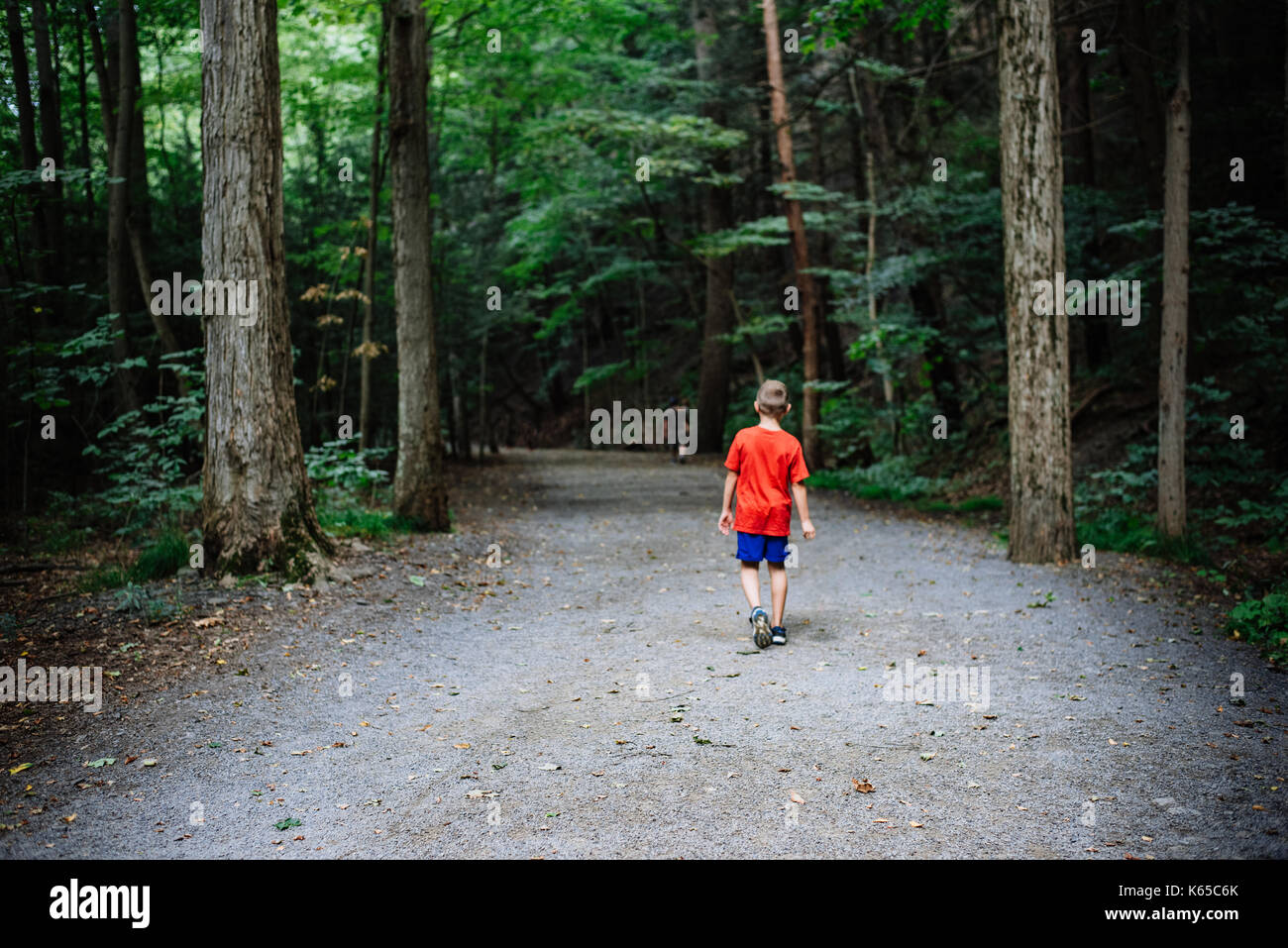 A boy walks on a dirt path in the woods. Stock Photo