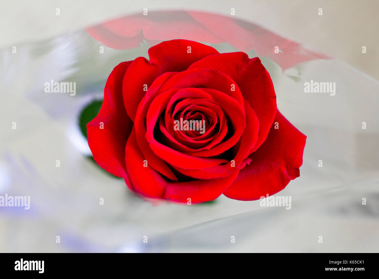 Cellophane wrapping hi-res stock photography and images - Alamy