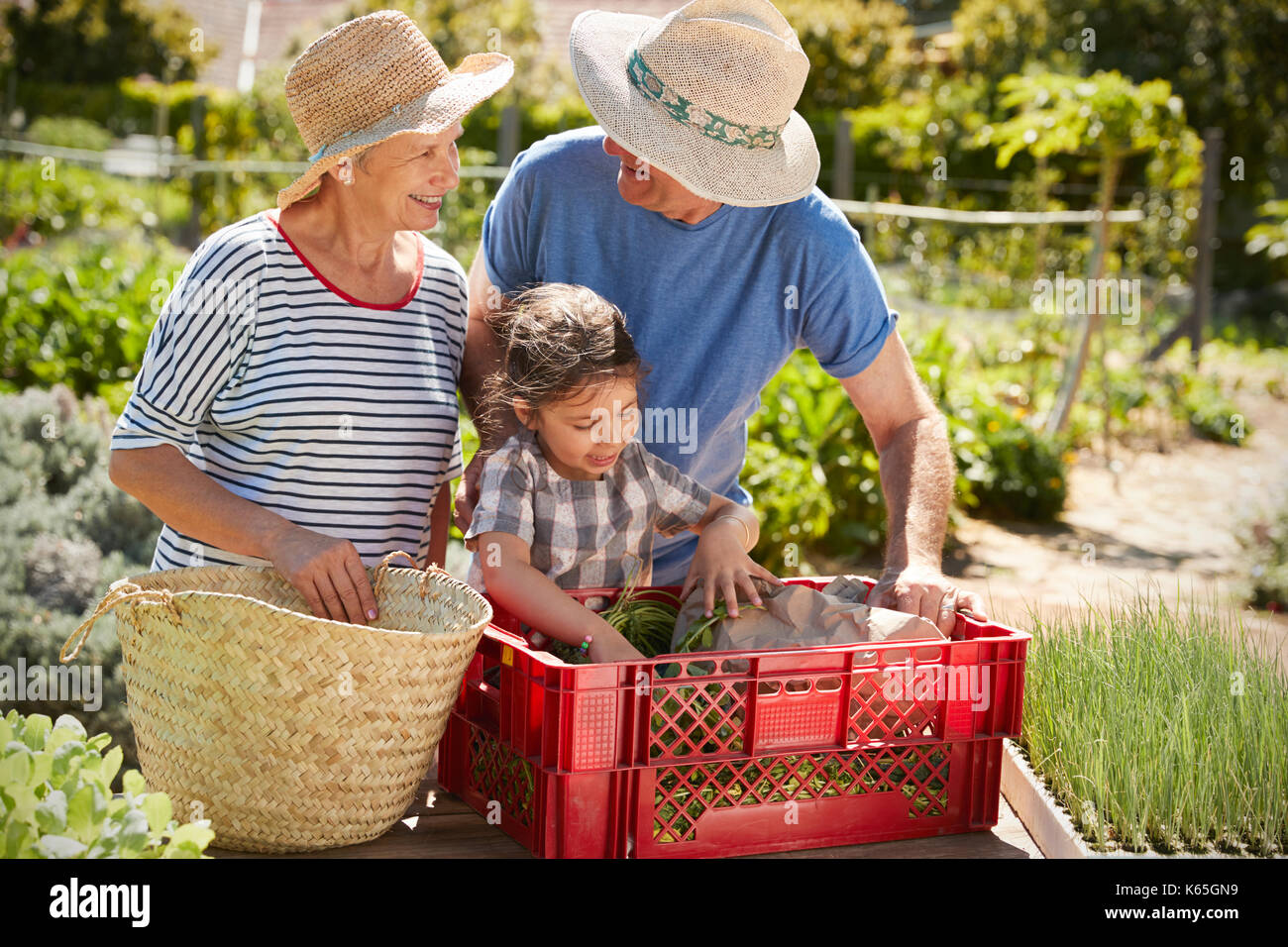 бабушка и внучка. в саду у бабушки. бабушка на даче. бабушка и внучка пришли в огород. бабушка и внучка пришли в огород.