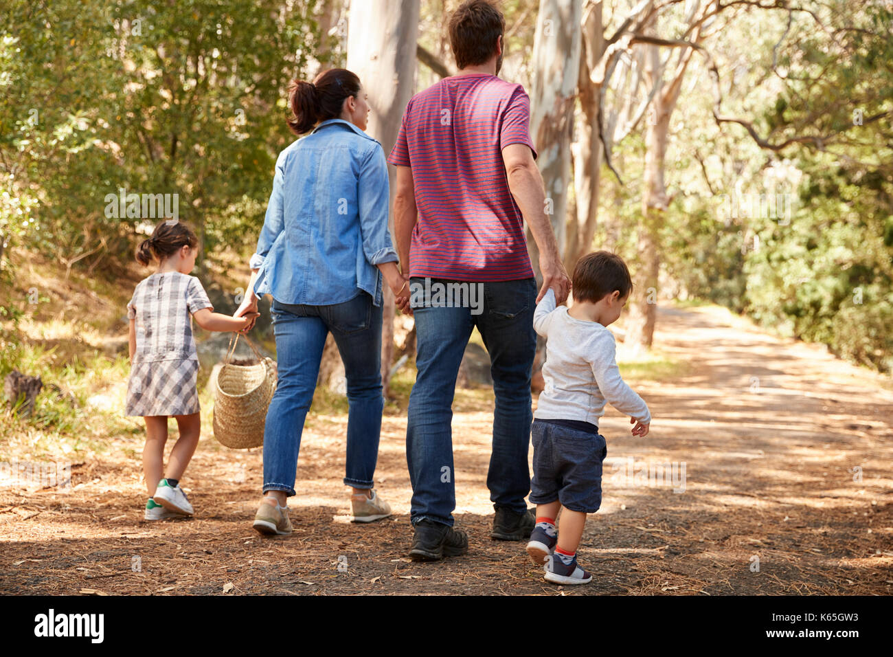 Rear View Of Family Walking Along Path Through Forest Together Stock ...