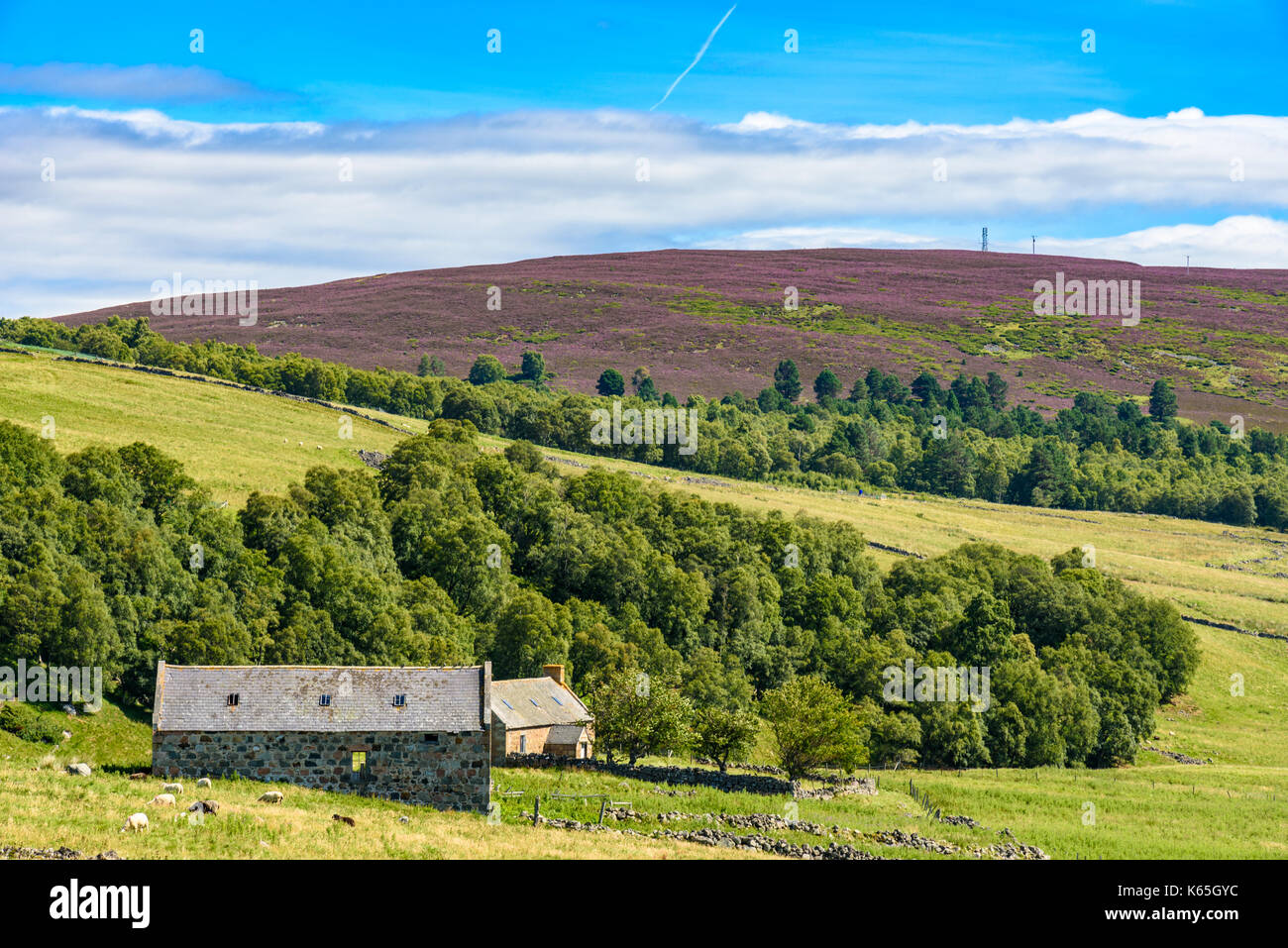 Braemar road hires stock photography and images Alamy