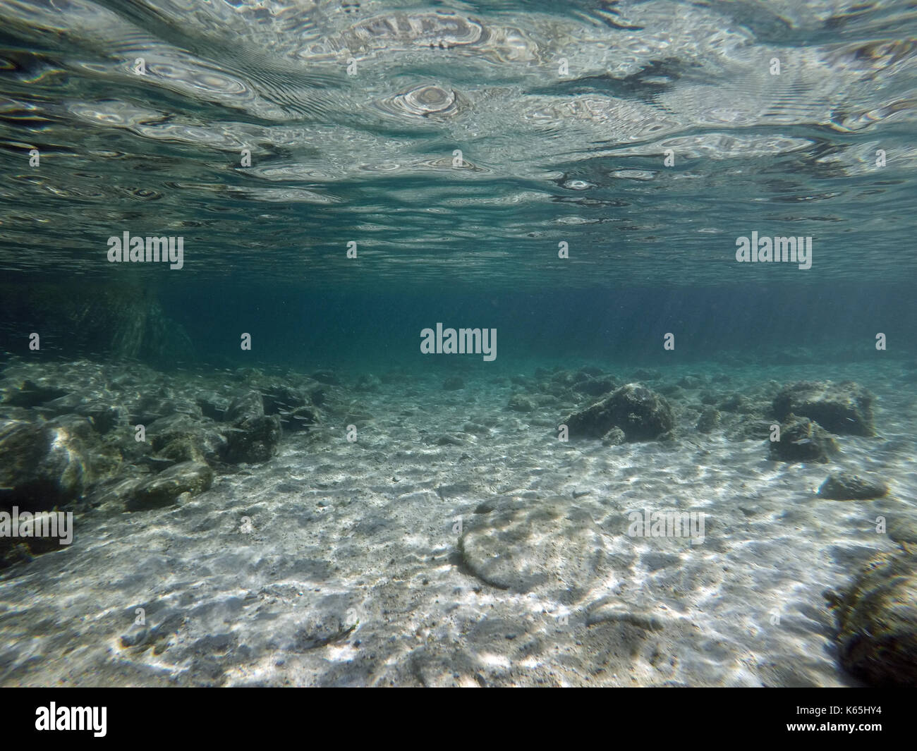 Sardinia, undersea image Stock Photo