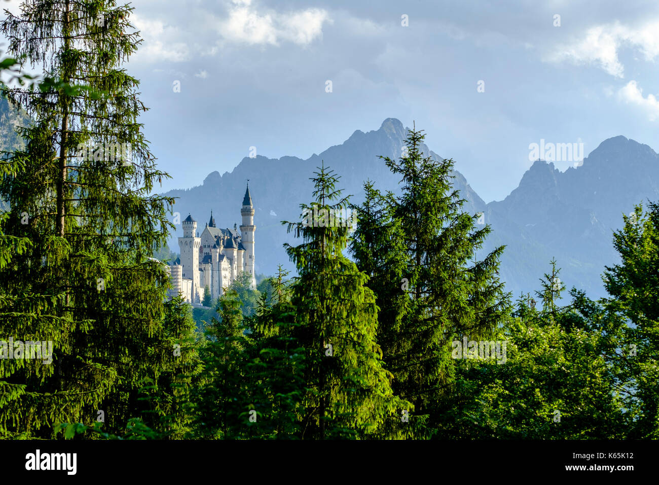 Neuschwanstein Castle, seen through trees in front of high mountains Stock Photo