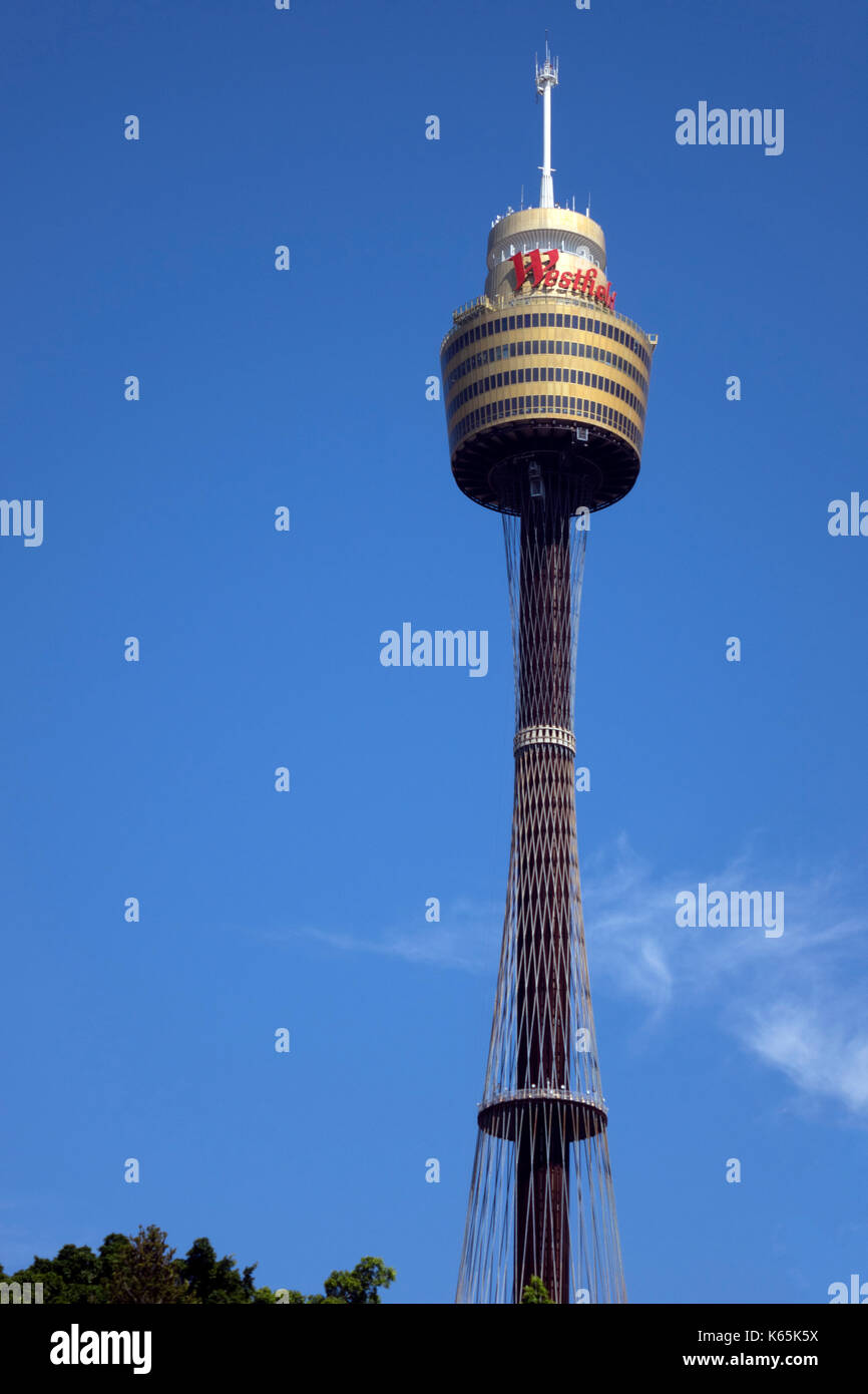 Sydney Tower Eye At Westfield Shopping Centre CBD Sydney Australia An Aerial  Public Viewing Tower Of Sydney City Stock Photo