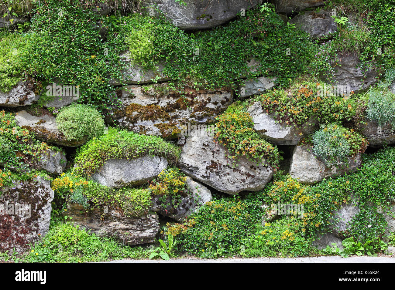 Overgrown dry stone wall, Styria, Austria Stock Photo