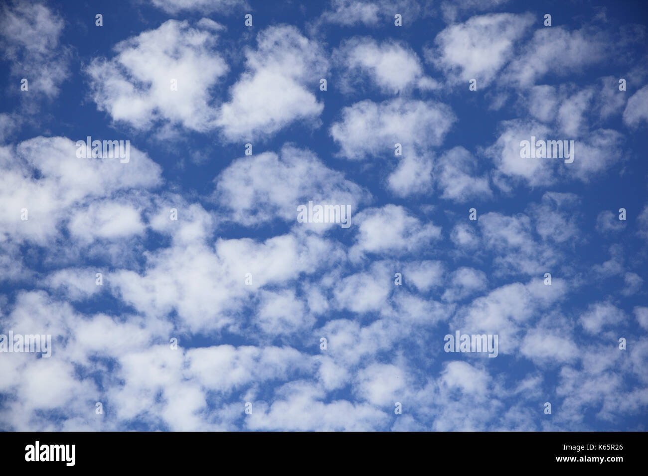 Cirrocumulus, fleecy clouds, clouds of a bad weather front, Austria Stock Photo
