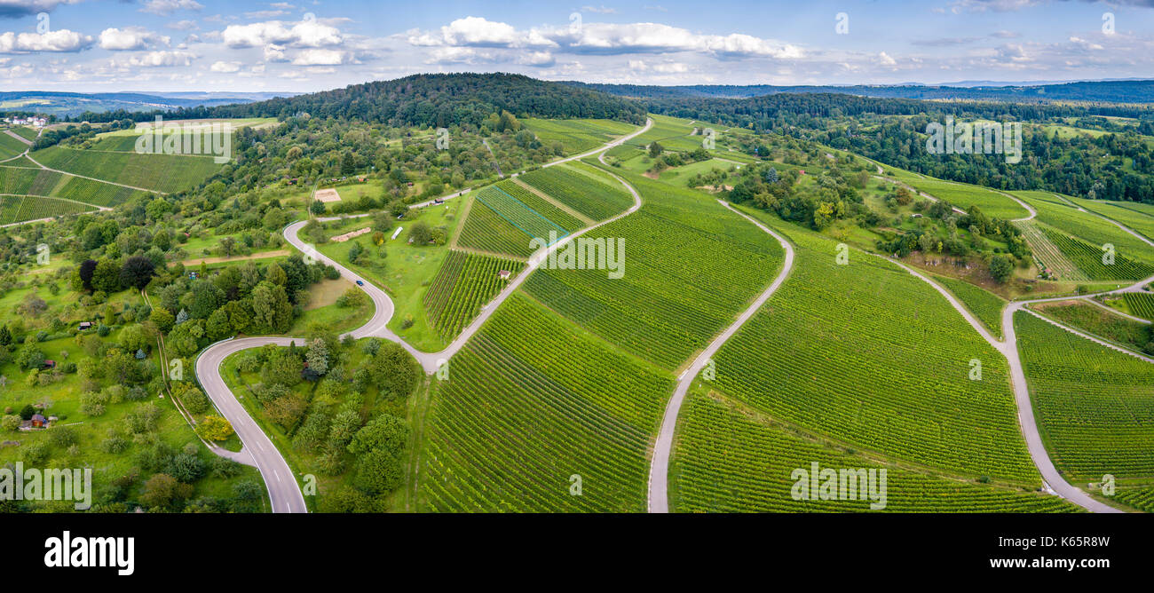 Serpentine road through vineyards, Schnait, Remstal, Baden Württemberg, Germany Stock Photo