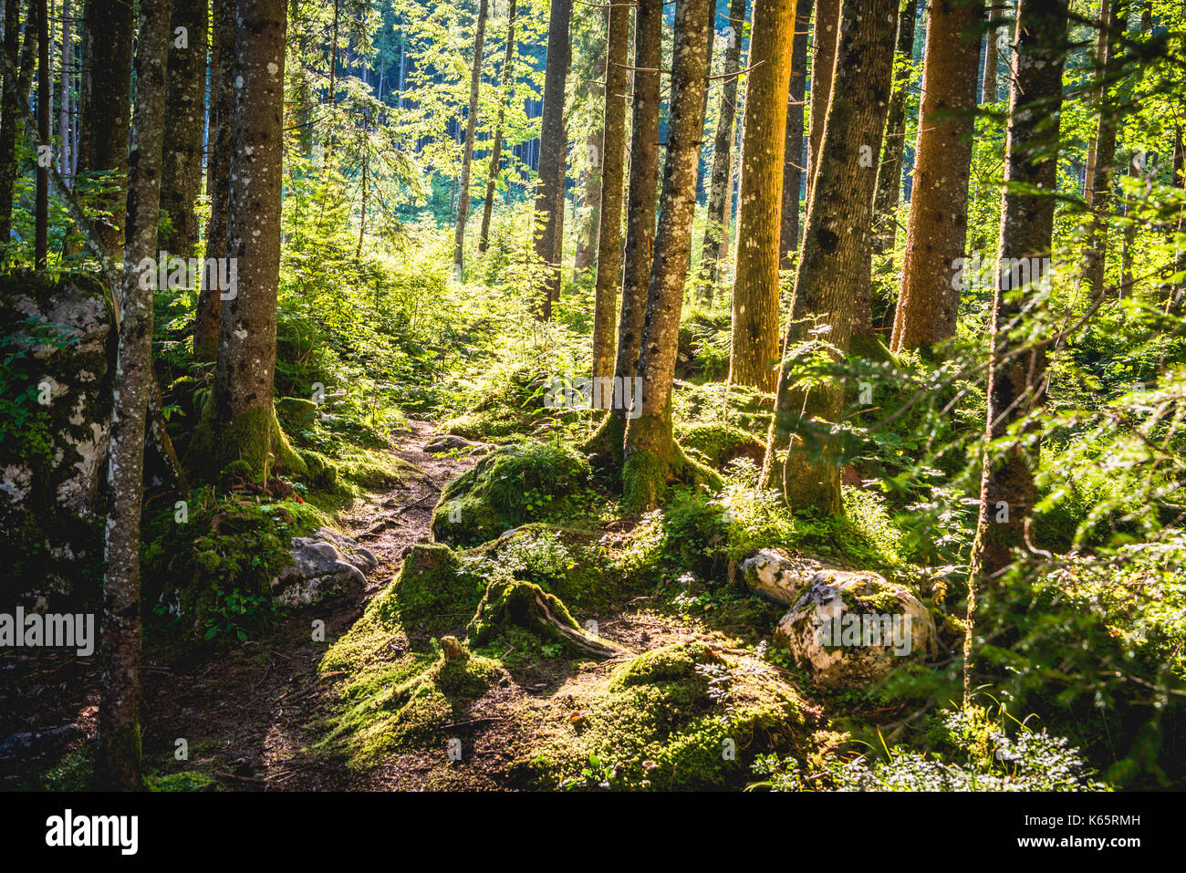 zauberwald ramsau bei berchtesgaden hinterseer straße ramsau bei berchtesgaden