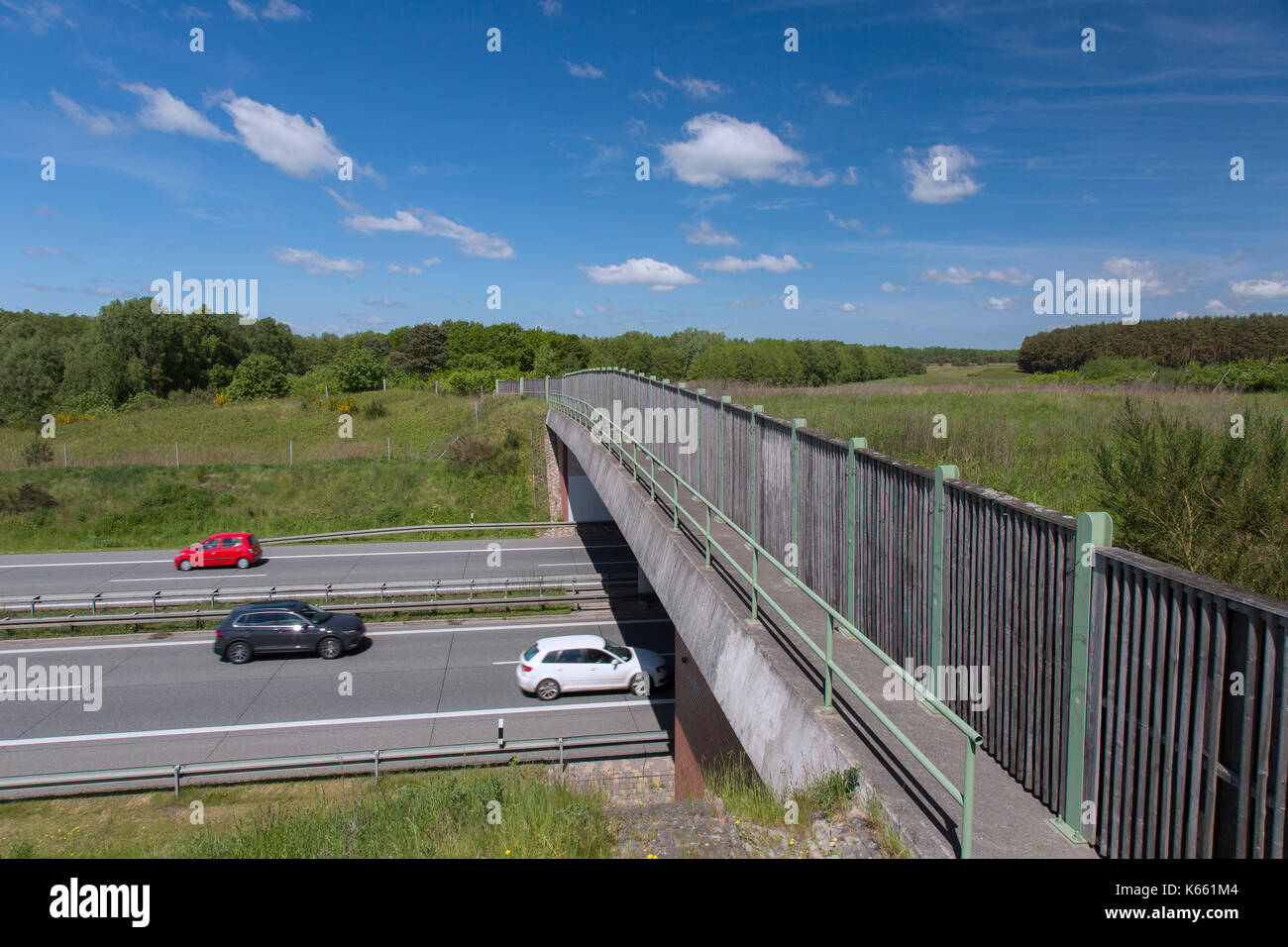 Wildlife bridge / animals overpass / wildlife crossing  / ecoduct over highway connecting animal habitats and avoiding collisions with vehicles Stock Photo