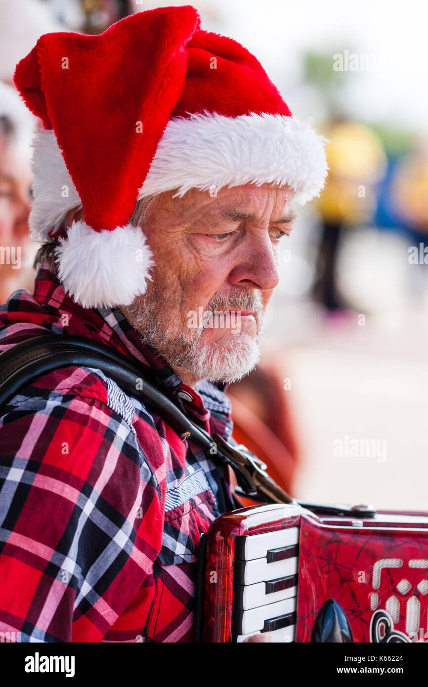 Accordion player from the folk band Stowfolk. With beard and wearing a