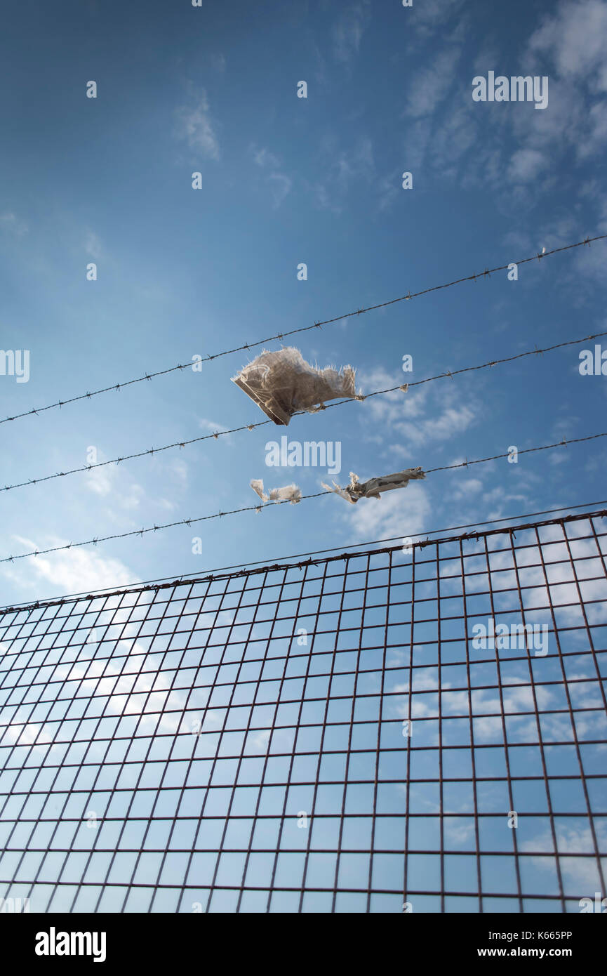 barbed wire fence with blue sky Stock Photo - Alamy