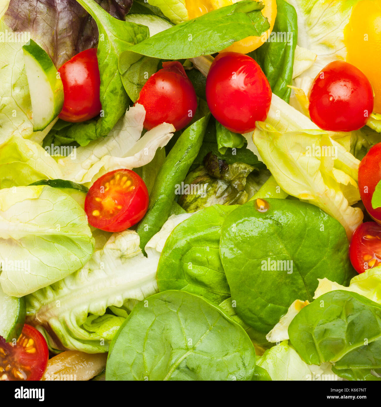 Fresh English Salad Stock Photo