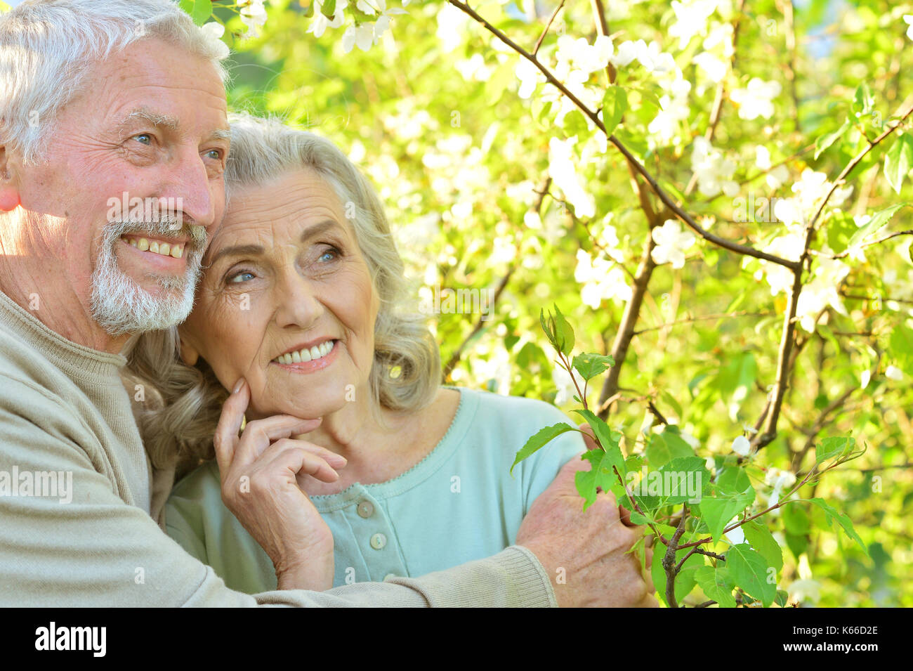 Couple under the tree hi-res stock photography and images - Alamy