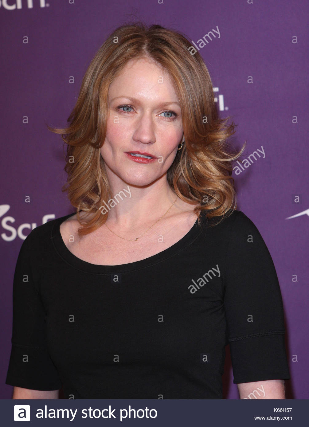 Celebrity Paula Malcomson nude (22 foto and video), Tits, Is a cute, Feet, cleavage 2017 Celebrity Paula Malcomson naked (93 photos), Ass, Bikini, Boobs, cleavage 2019