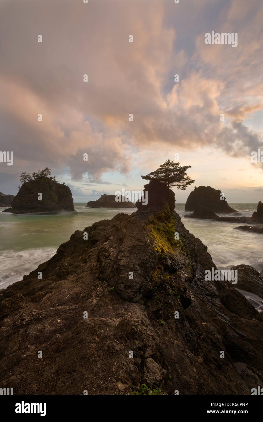 Sunset along Secret Beach in Boardman State Park of Oregon. USA Stock Photo