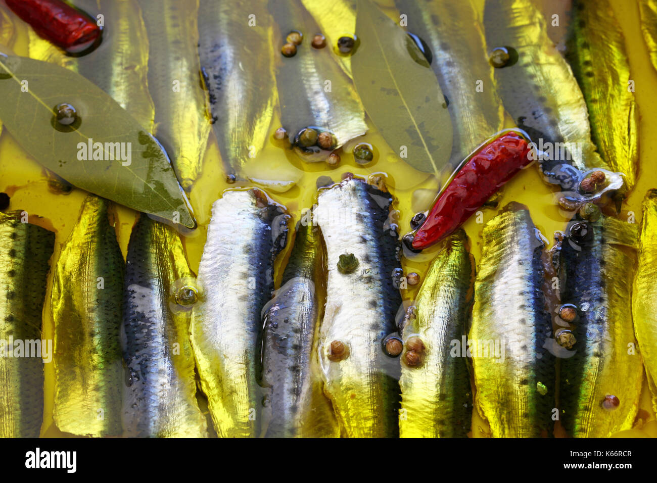 homemade marinated anchovies, spanish tapas food,boquerones en vinagre Stock Photo