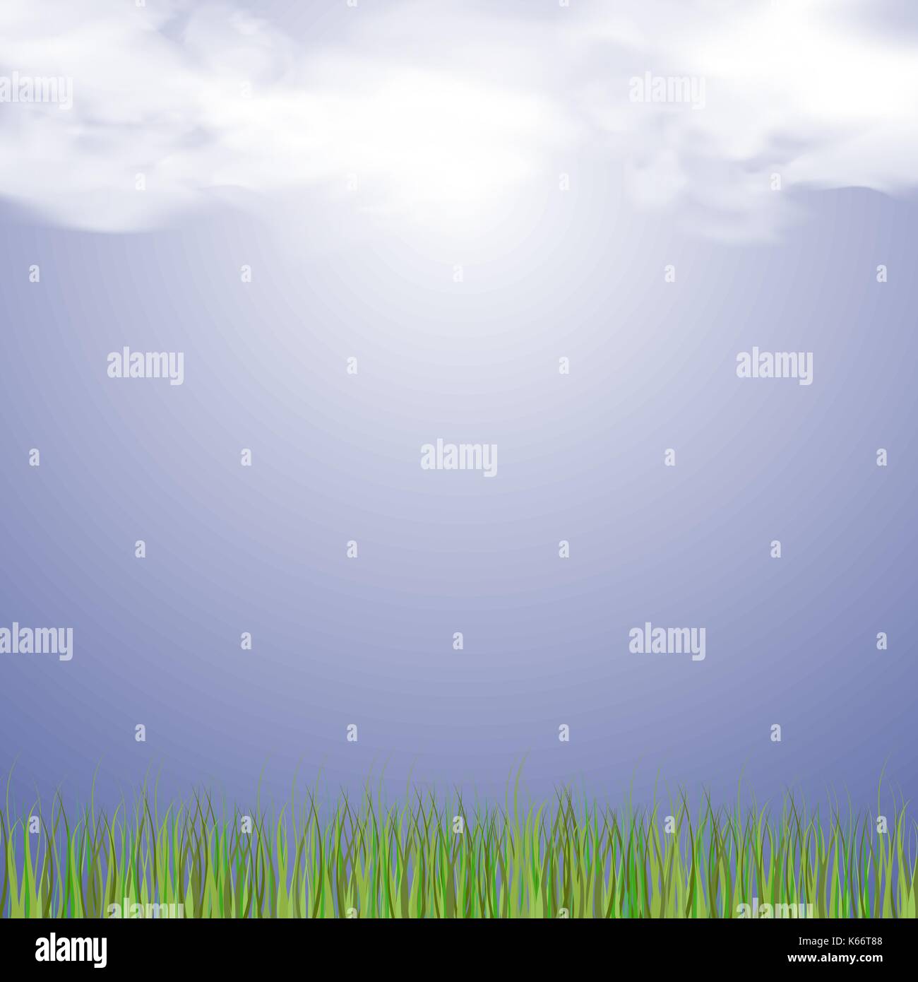Fresh Green Grass Stock Vector