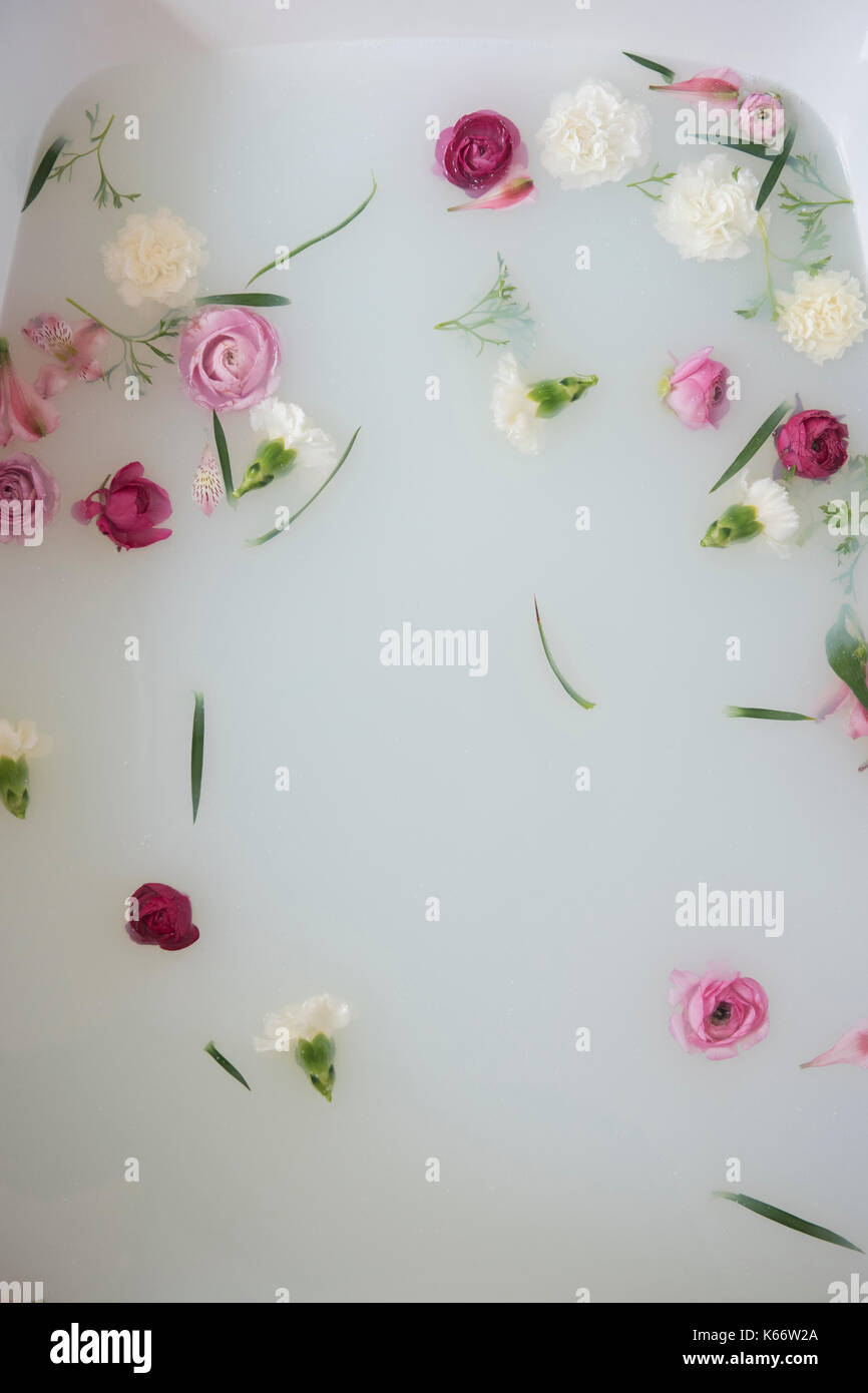 Flowers floating in milk bath Stock Photo Alamy