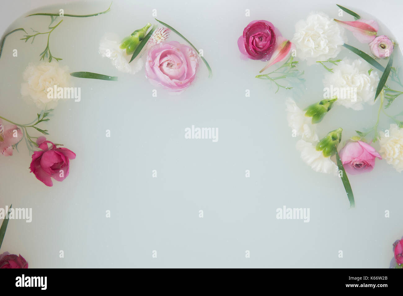 Flowers floating in milk bath Stock Photo Alamy