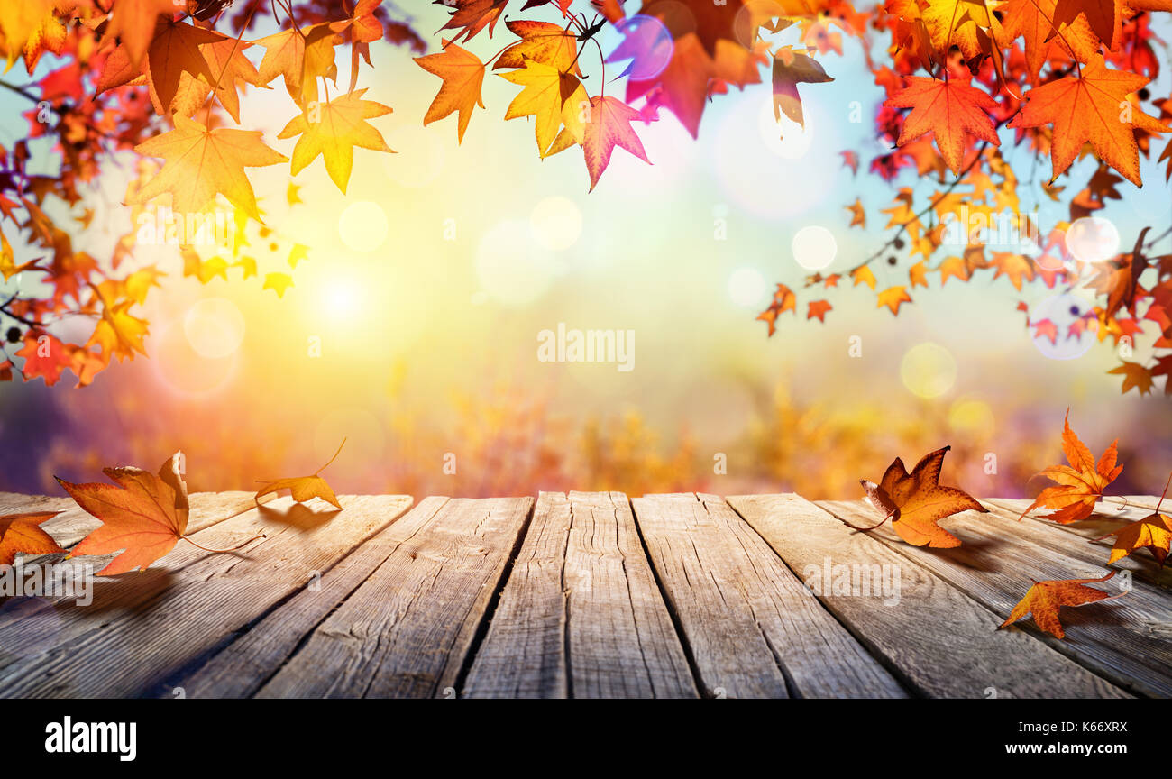 Display of leaves hi-res stock photography and images - Alamy