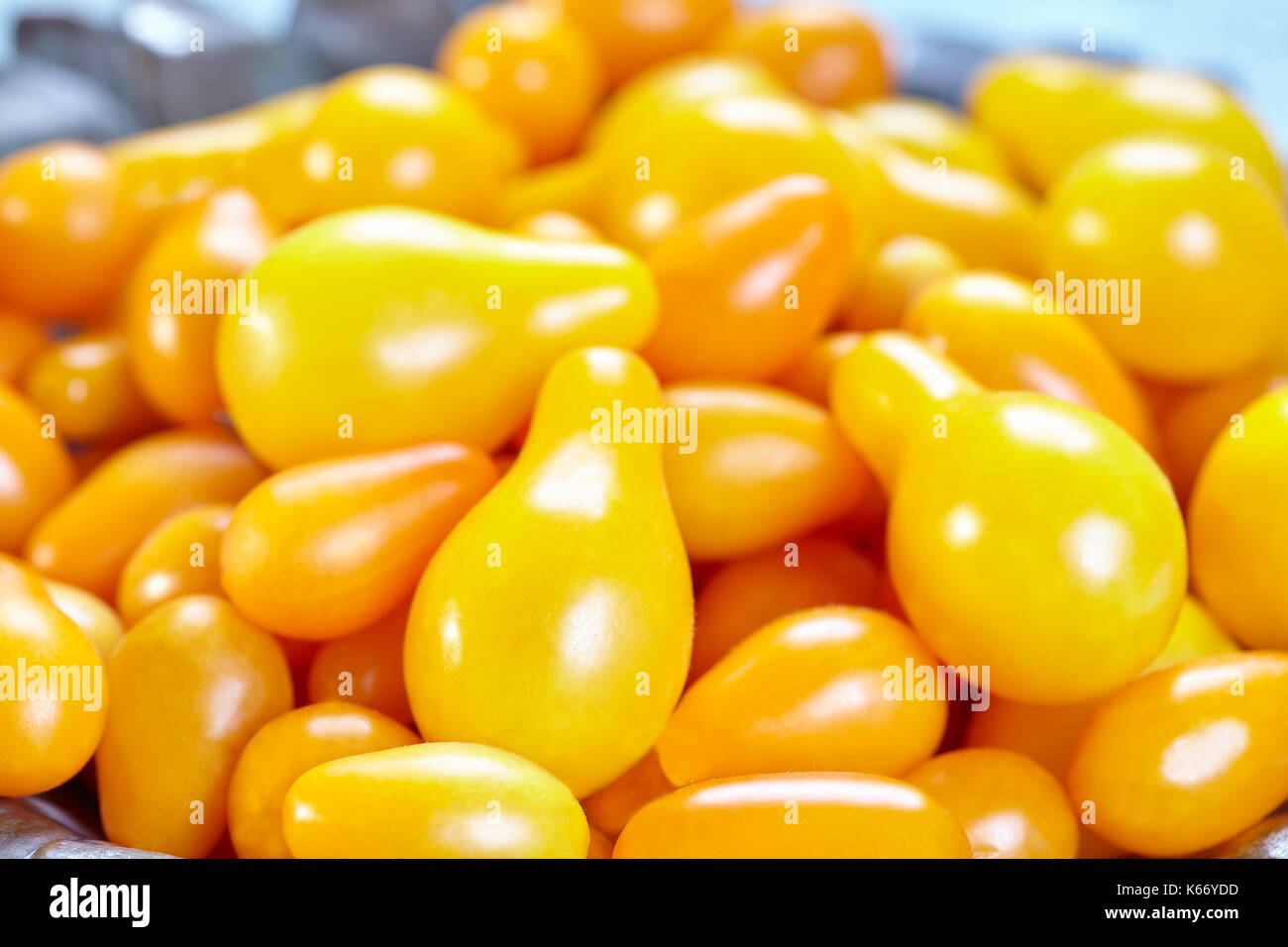 Varieties of yellow Heirloom cherry tomatoes called yellow pear and yellow datterino (or plum) cherry tomatoes. Stock Photo