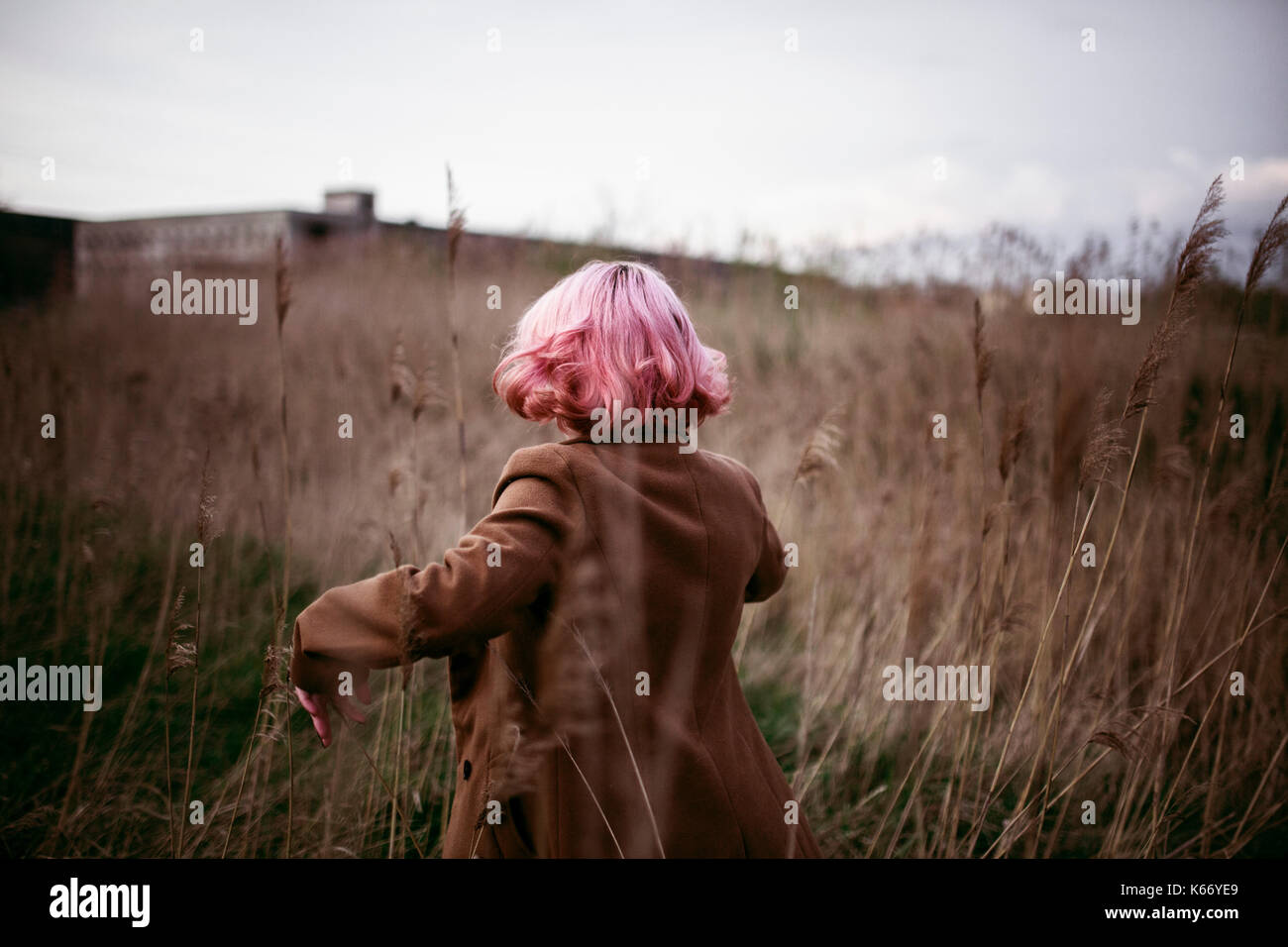 Caucasian woman with pink hair running in field Stock Photo