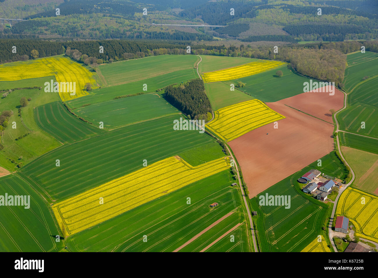 Golf, Golf Club West Home eV, greens, Mars, Sauerland, Hochsauerlandkreis, North Rhine-Westphalia, Germany, Europe, Hochsauerlandkreis, aerial view, a Stock Photo