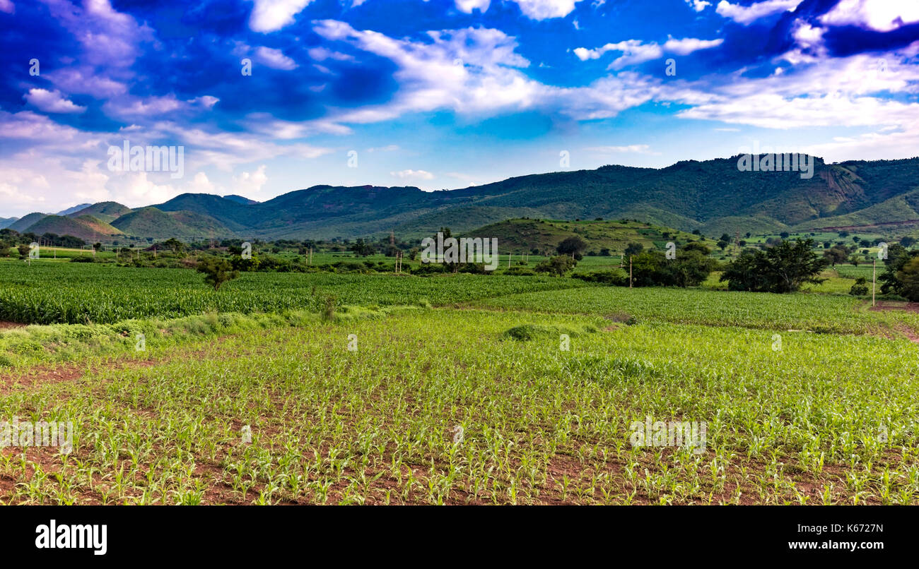 Beautiful landscape view of countryside with lush green mountains and farming field grown under blue sky and white dark clouds Stock Photo