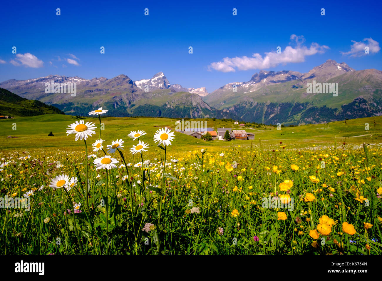 Landscape With Green Meadows Flowers Farmhouses And Mountain Slopes
