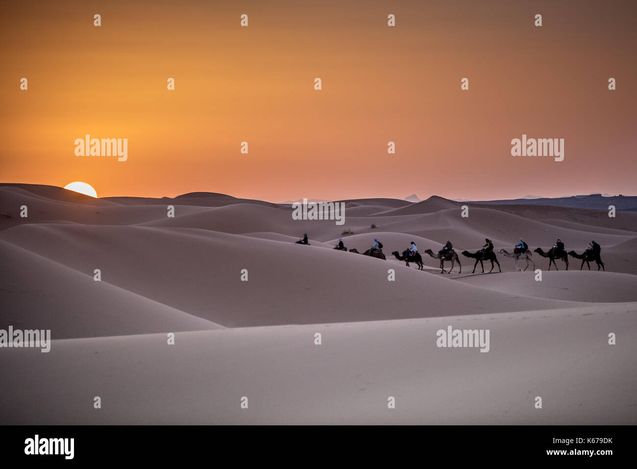 Camel train walking through Sahara Desert, Morocco Stock Photo