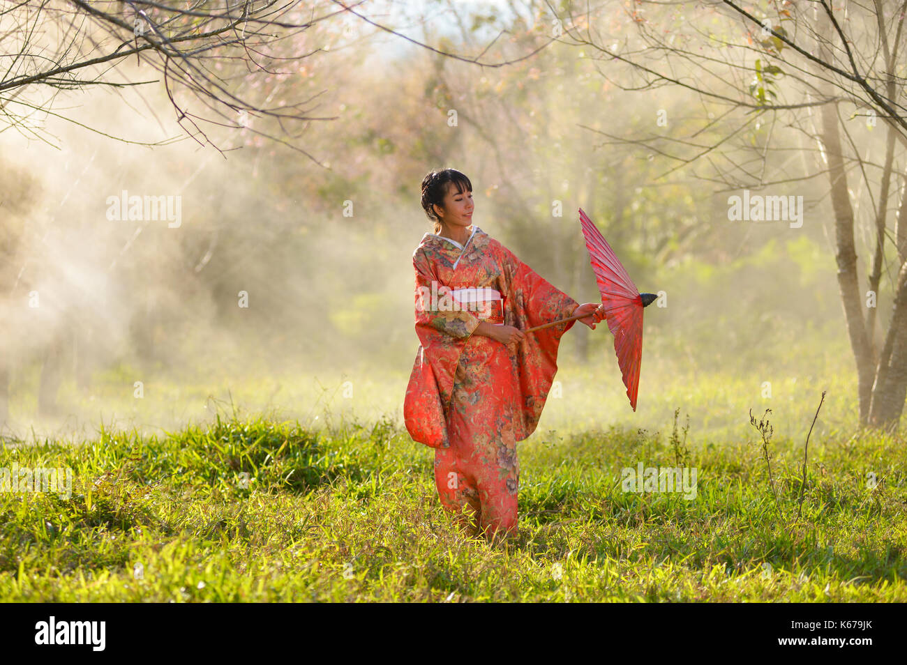 Woman in traditional Japanese clothing in a cherry blossom orchard, Japan Stock Photo