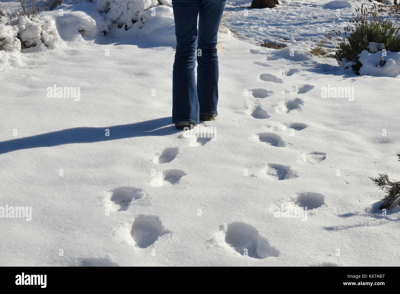 Girl walking in the snow Stock Photo
