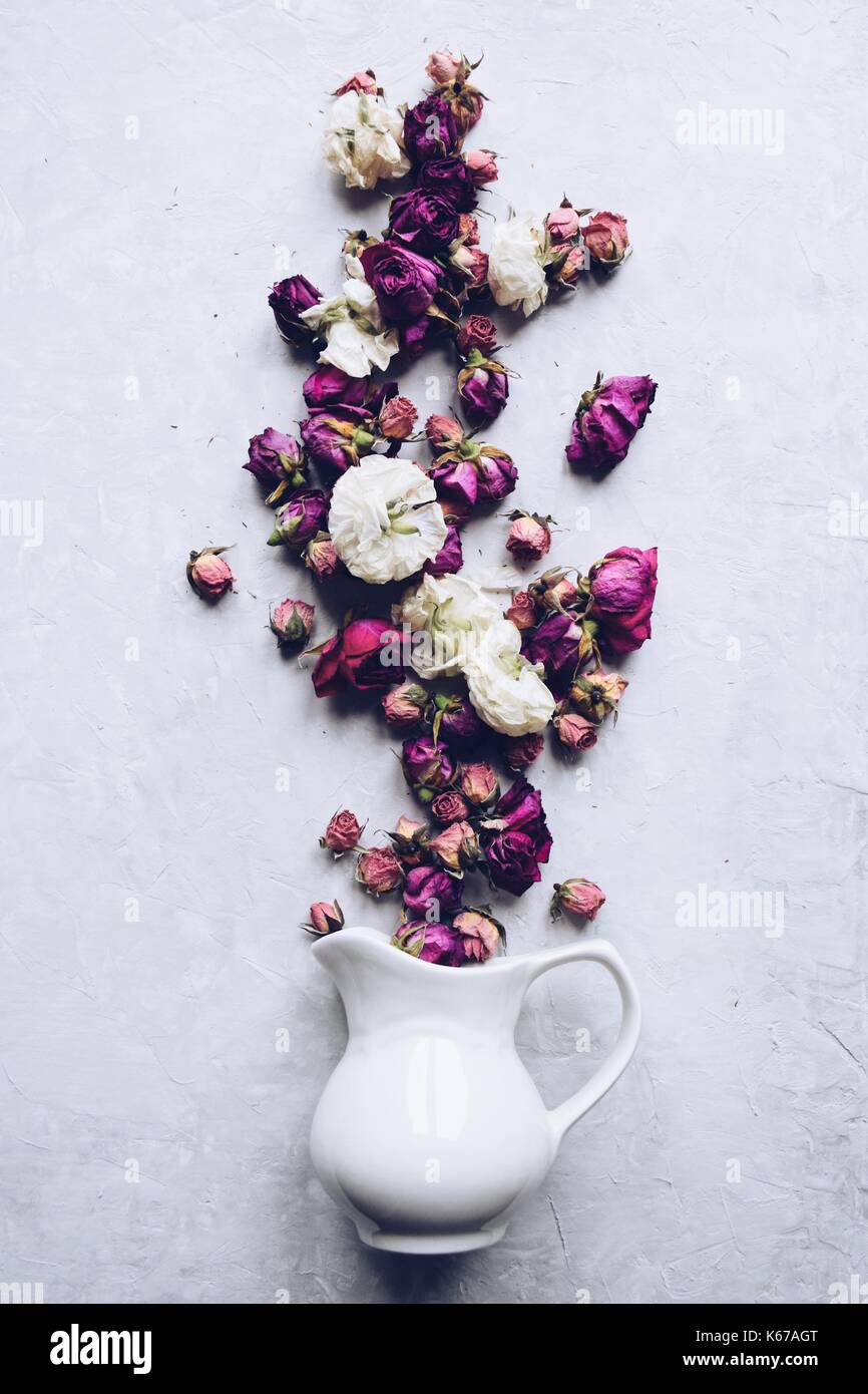 Page 2 Dried Flowers High Resolution Stock Photography And Images Alamy