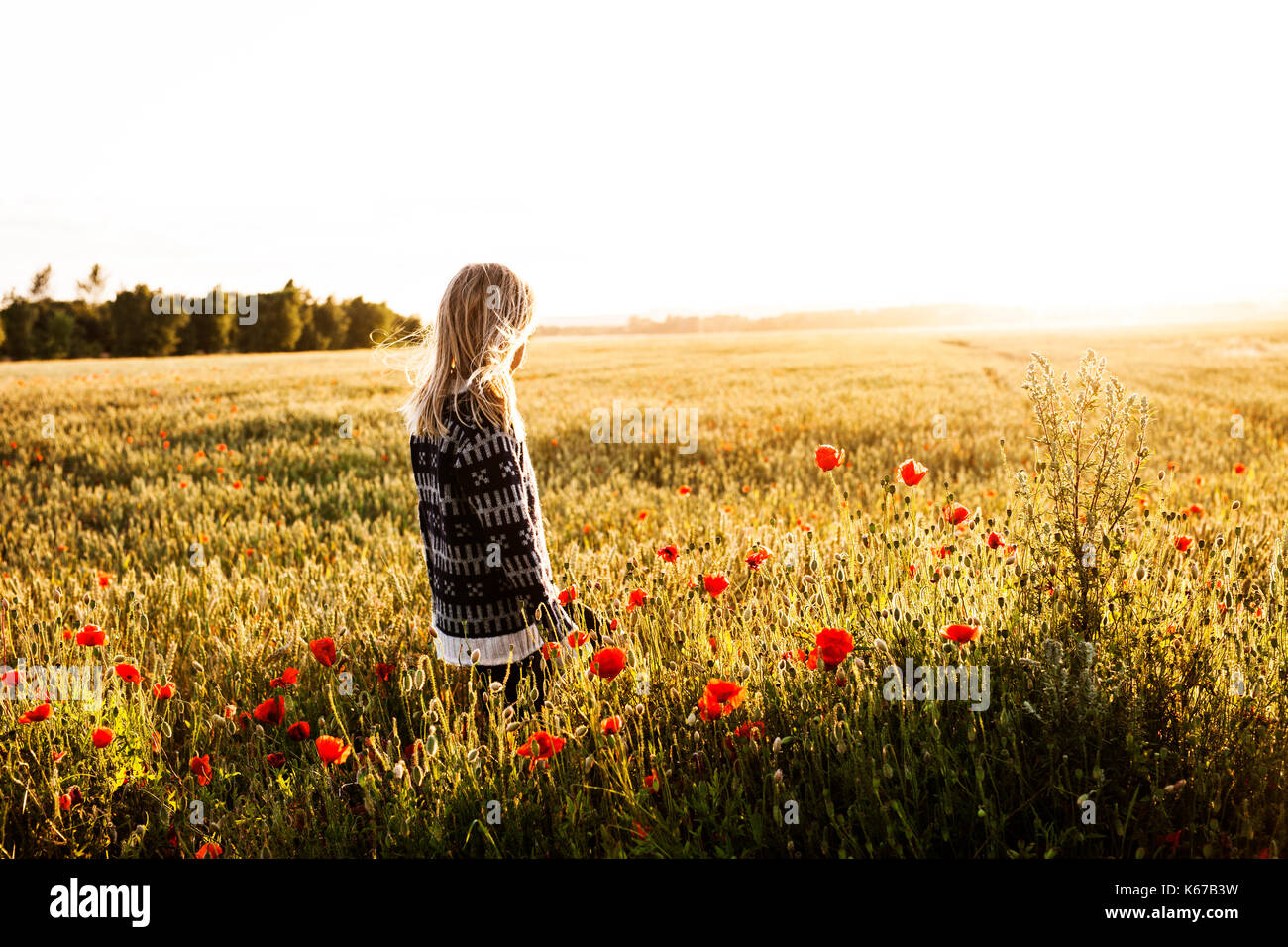 Boy standing in a poppy field, Denmark Stock Photo - Alamy