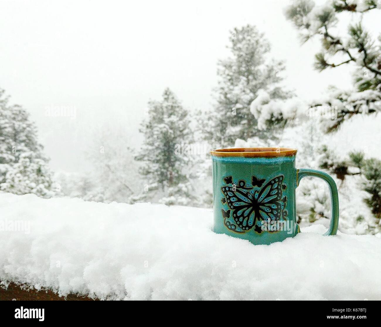 Butterfly mug in the snow Stock Photo