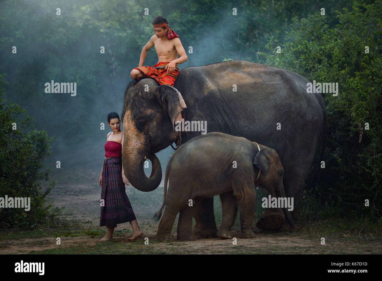 Man and woman with elephant and elephant calf, Thailand Stock Photo