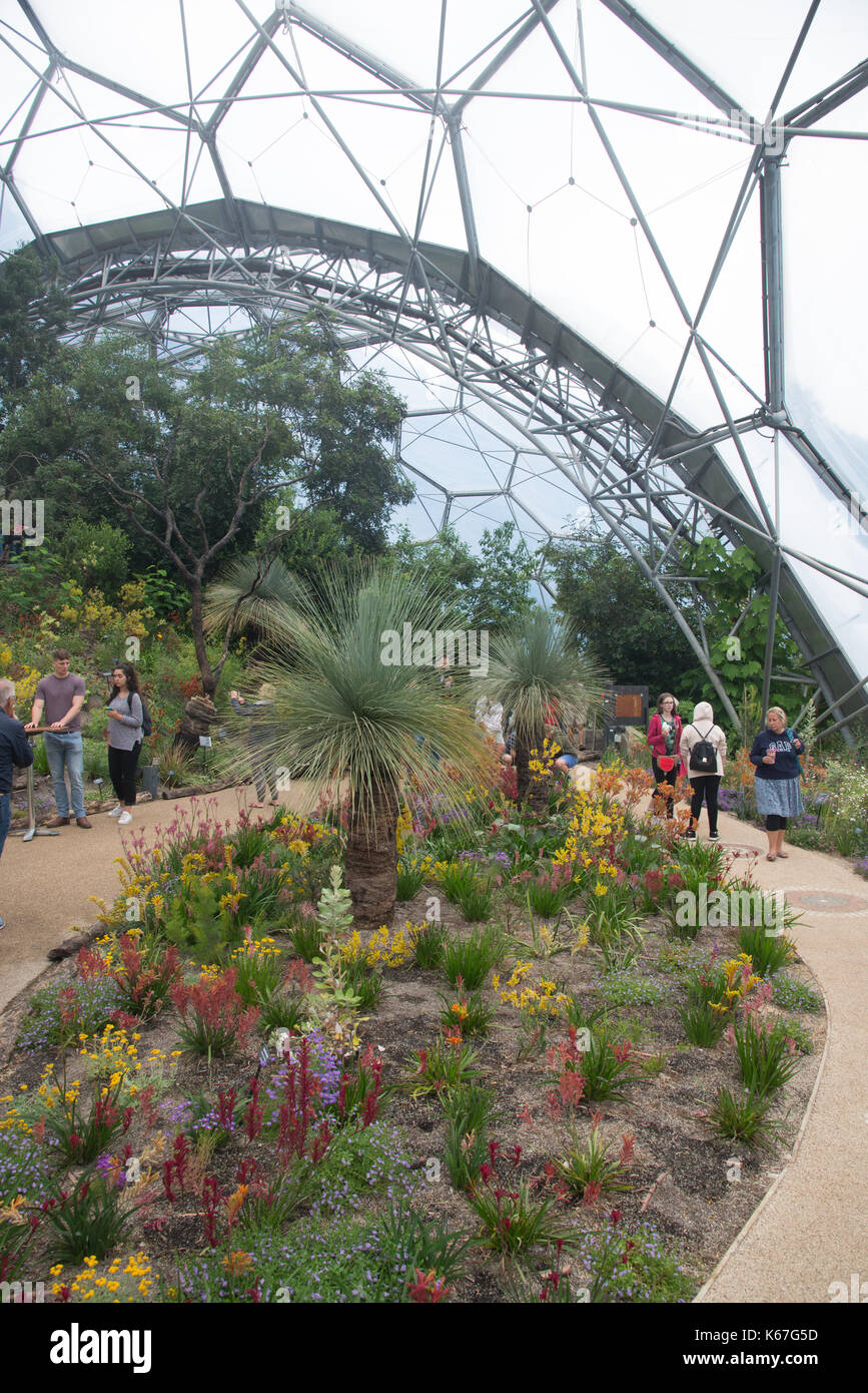 inside Eden project, Cornwall, England Stock Photo