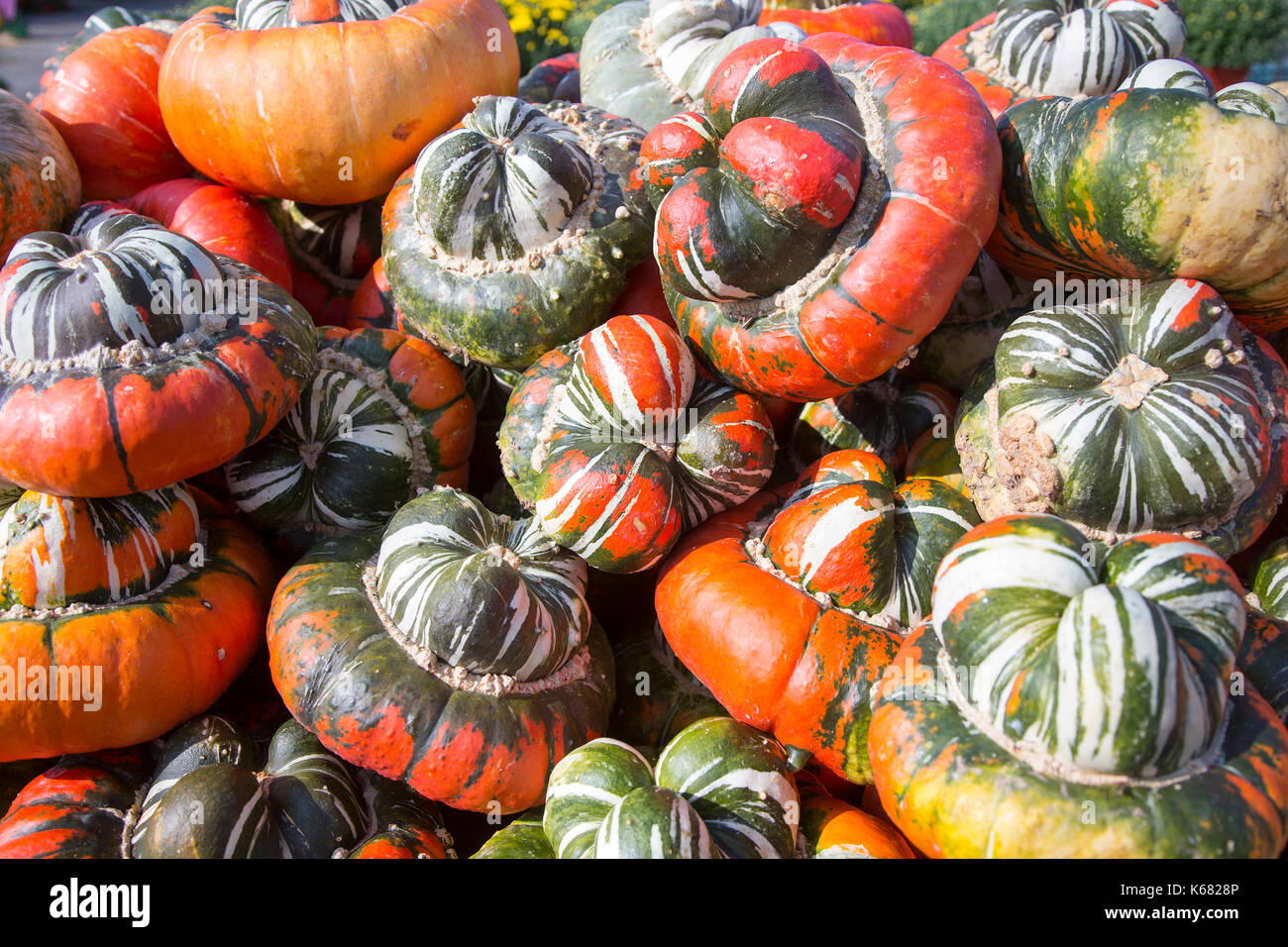Gourds for sale at a farm stand Stock Photo Alamy