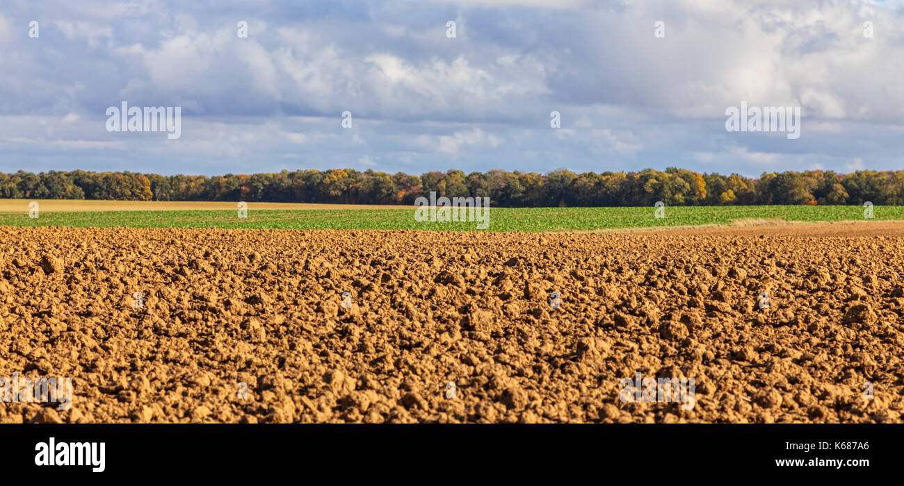 Beauce forest hi-res stock photography and images - Alamy