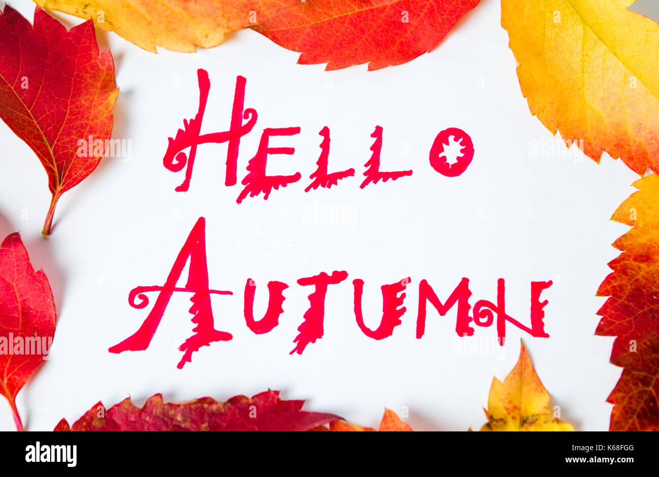 Hello Autumn calligraphy note with fallen leaves on white paper Stock Photo